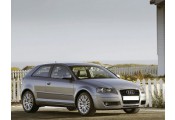 Auspuff System AUDI A3 1.6i