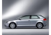 Auspuff System AUDI A3 1.6 FSi