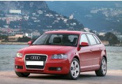 Auspuff System AUDI A3 1.6 FSi