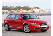 Auspuff System AUDI A3 1.6 FSi