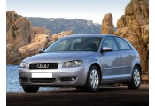 Auspuff System AUDI A3 1.6 FSi