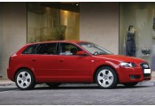 Auspuff System AUDI A3 1.6 FSi