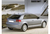 Auspuff System AUDI A3 1.6 FSi