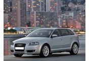 Auspuff System AUDI A3 1.6 FSi