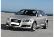 Auspuff System AUDI A3 2.0 TFSi - GTi