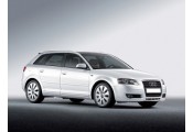 Auspuff System AUDI A3 2.0 FSi