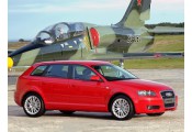 Auspuff System AUDI A3 2.0 TDi