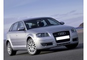 Auspuff System AUDI A3 2.0 TDi
