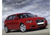 Auspuff System AUDI A3 1.6 FSi