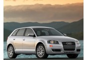 Auspuff System AUDI A3 2.0 TDi