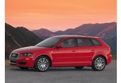 Auspuff System AUDI A3 2.0 TDi