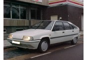 Auspuff System CITROEN BX 1.9