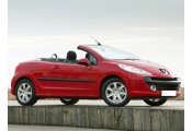 Auspuff System PEUGEOT 207 CC 1.6 - 16V THP