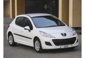Auspuff System PEUGEOT 207 1.4i - 8V