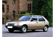 Auspuff System PEUGEOT 205 1.1