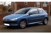 Auspuff System PEUGEOT 206 1.1i