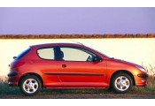 Auspuff System PEUGEOT 206 1.4i