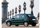 Auspuff System PEUGEOT 206 1.6i