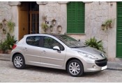 Auspuff System PEUGEOT 207 1.4i - 8V