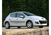 Auspuff System PEUGEOT 207 1.6 HDi TD