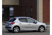 Auspuff System PEUGEOT 207 1.6 HDi TD