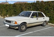 Auspuff System PEUGEOT 305 1.6