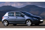 Auspuff System PEUGEOT 307 1.4i