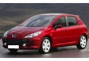 Auspuff System PEUGEOT 307 1.4i - 16V