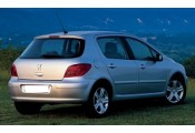 Auspuff System PEUGEOT 307 1.6i - 16V