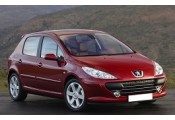 Auspuff System PEUGEOT 307 1.6 HDi TD