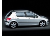 Auspuff System PEUGEOT 307 2.0 HDi TD