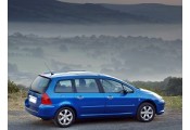 Auspuff System PEUGEOT 307 2.0 HDi TD
