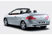 Auspuff System PEUGEOT 307 CC 1.6i - 16V