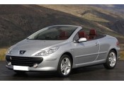 Auspuff System PEUGEOT 307 CC 1.6i - 16V