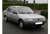 Auspuff System PEUGEOT 309 1.4