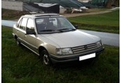 Auspuff System PEUGEOT 309 1.4i