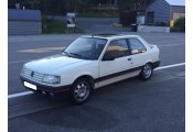 Auspuff System PEUGEOT 309 1.9 GTi