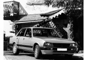 Auspuff System PEUGEOT 505 2.0