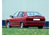 Auspuff System RENAULT R21 1.7