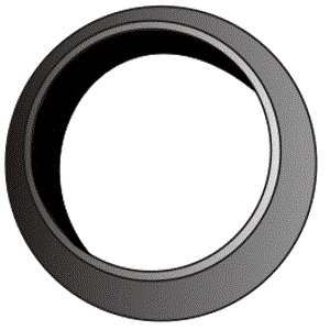 Dichtring